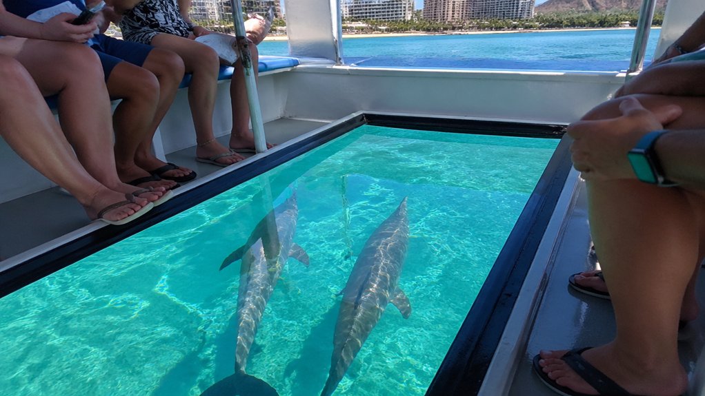 dolphins sighted on waikiki glass bottom